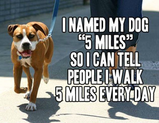 Funny dog naming idea