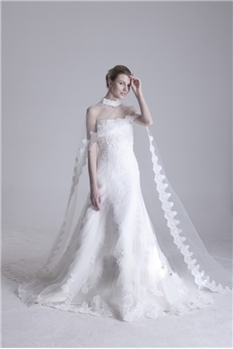 Glamorous Long Tailing Length Lace Wedding