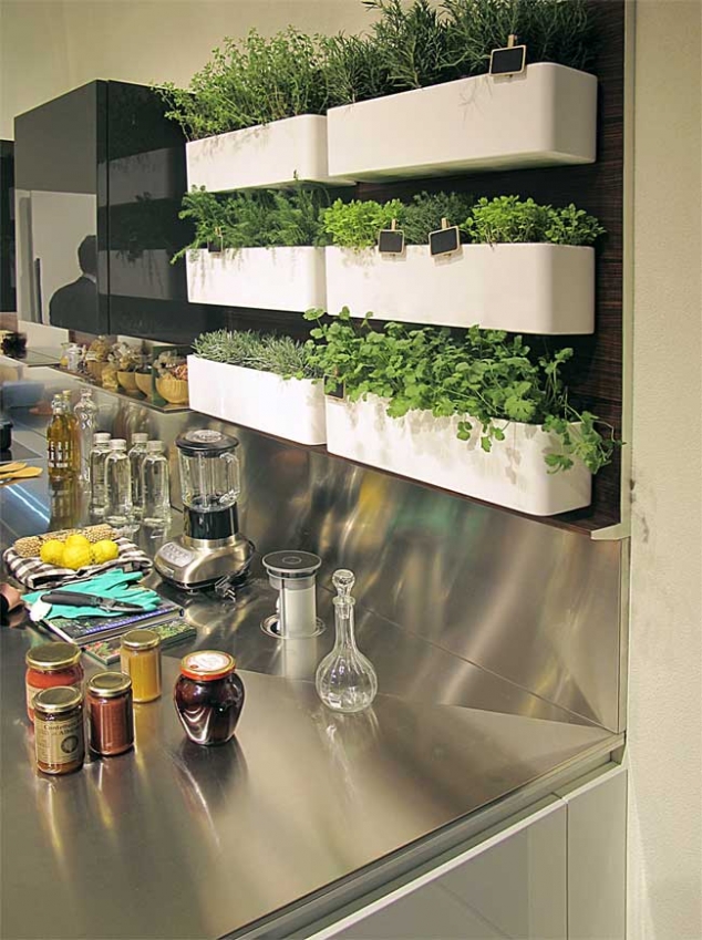 Herb garden in kitchen