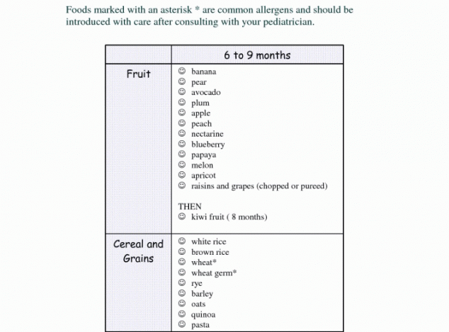 Homemade Baby Food Recipes