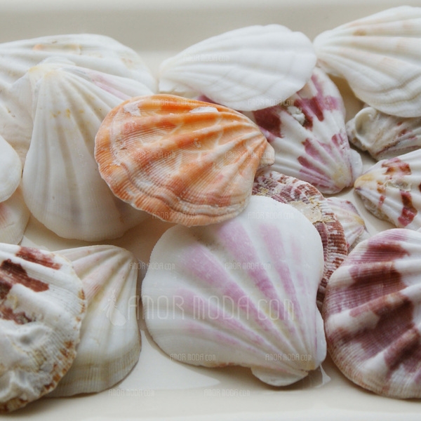 http://www.amormoda.ru/Beach-Theme-Shell-Unique-Wedding-Decor-Set-Of-4-Packs-40-Pieces-Pack-13103684