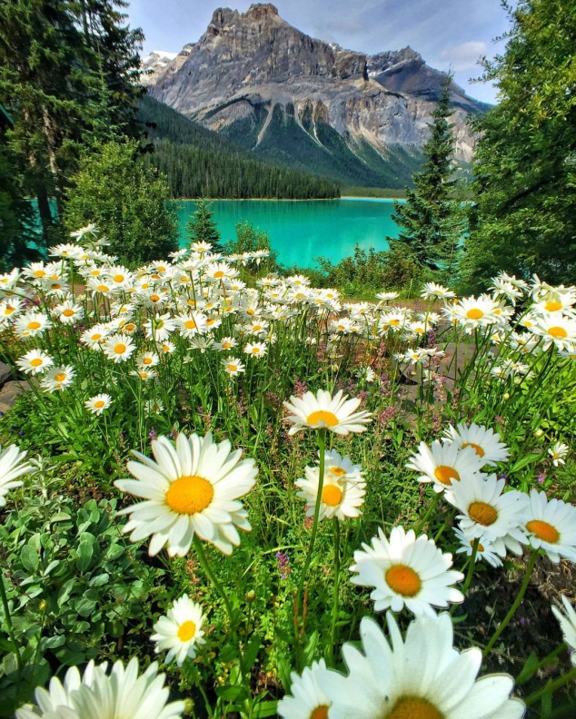 If you want to go quickly, go alone; if you want to go far, go together.  - Image 2