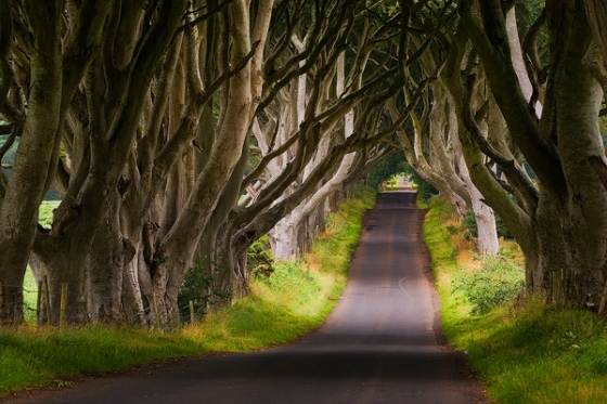 Ireland - Image 2