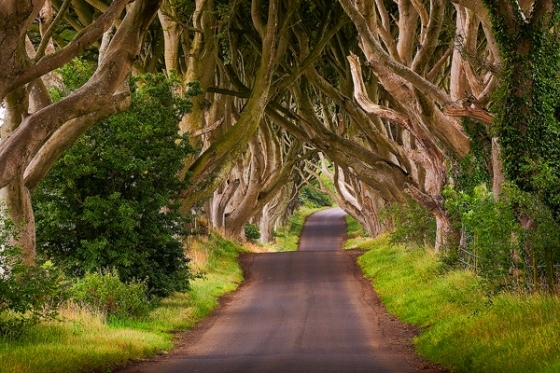 Ireland - Image 3