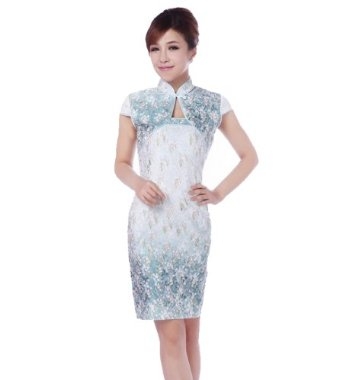 JTC Women's Royal Cheongsam Party Chinese Dress Qipao 5 Styles