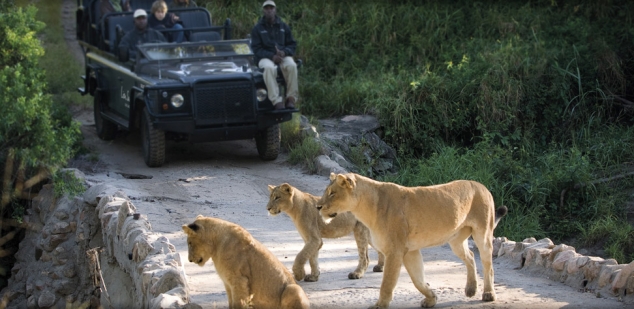 Lion Sands Game Reserve in South Africa - Image 2