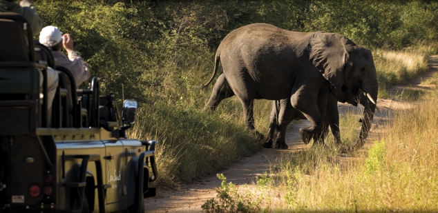 Lion Sands Game Reserve in South Africa