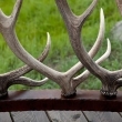 log home living - Image 3