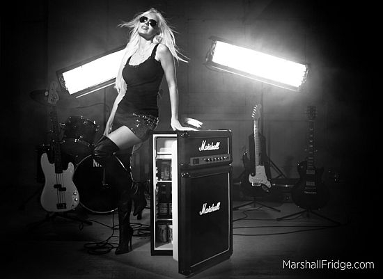 Marshall Amp Fridge