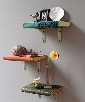 "Book" Shelves