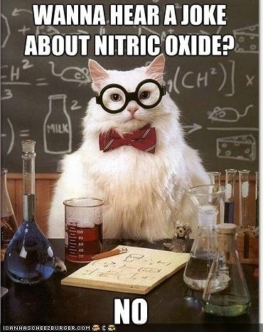 Chemistry Cat