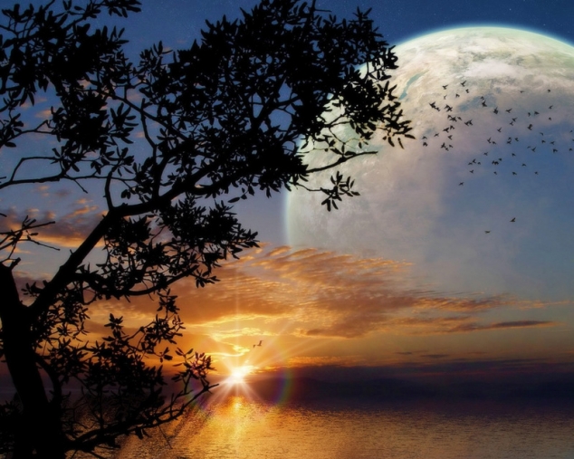 sunset