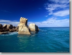 Nature Pictures - Image 2