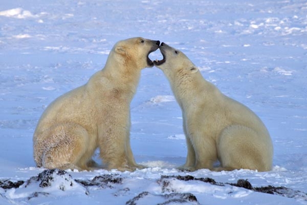 Churchill Manitoba