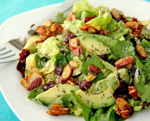 Cranberry and Avocado Salad