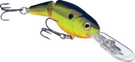 Cabela's - Image 2
