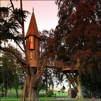 Treehouse