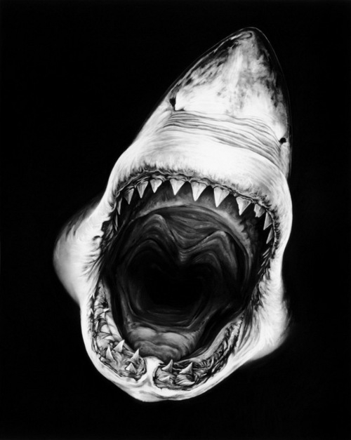 Lookin' down the gullet of a man-eater