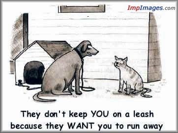 To funny