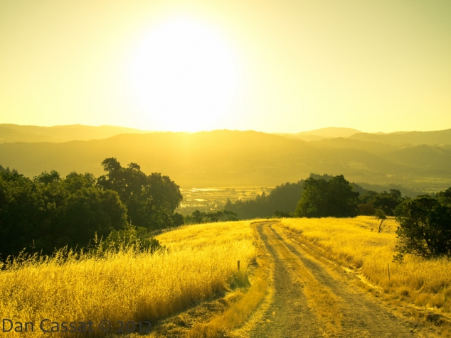 Morning Trail