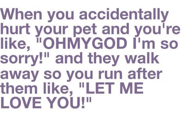 When you accidentally hurt your pet