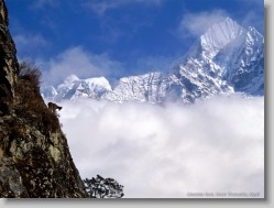 Nature Pictures - Image 3