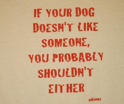 Dog Quote