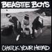 Beastie Boys 