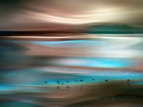 Migrations by Ursula Abresch