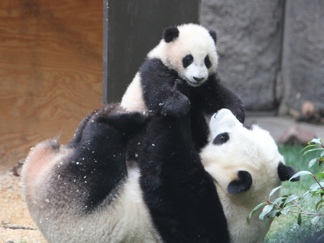 Mom and baby