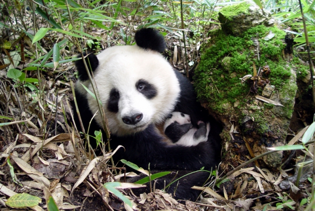 Mom and baby - Image 2
