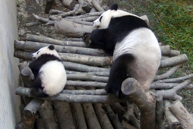 Mom and baby - Image 3
