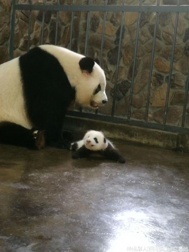 Mom Qi Yuan and her cute lovely baby - Image 3