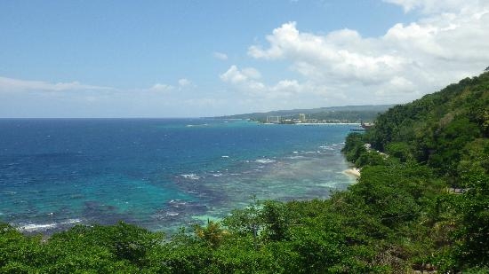 Mystic Mountain Rainforest in Ocho Rios Jamaica - Image 2