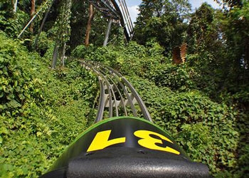 Mystic Mountain Rainforest in Ocho Rios Jamaica - Image 3