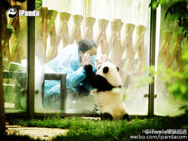 Nanny, we don't want to go to school, we liking stay at home - Image 2