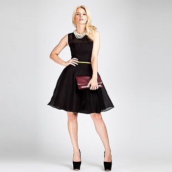 Neola Sheer Panel Silk Organza Dress