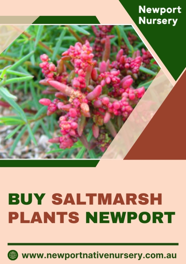 Newport Native Nursery