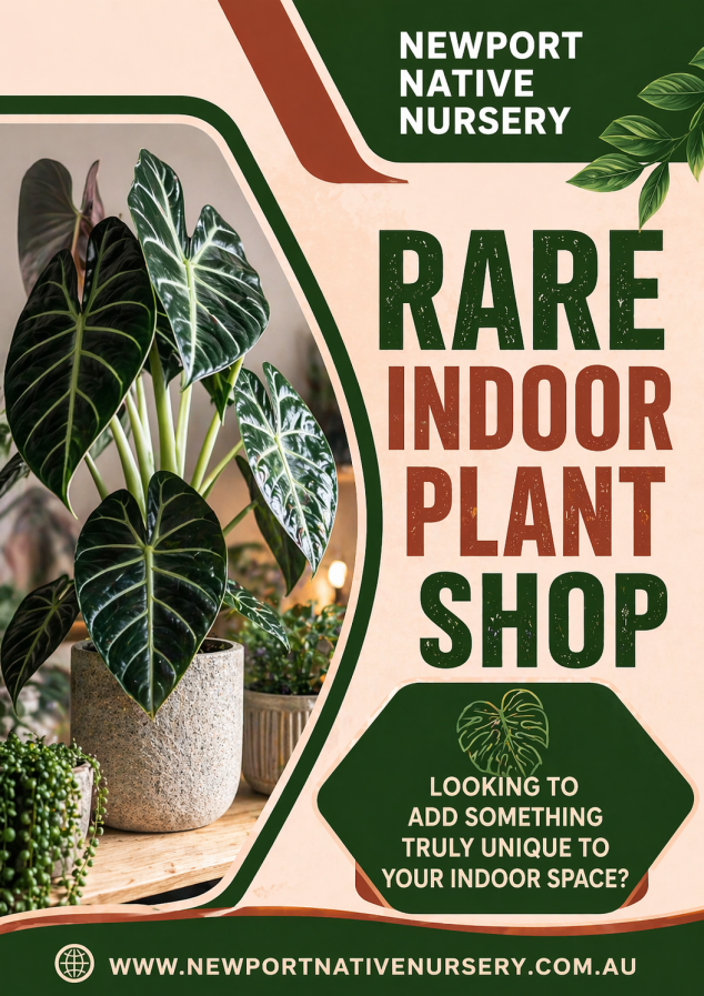 Newport Native Nursery