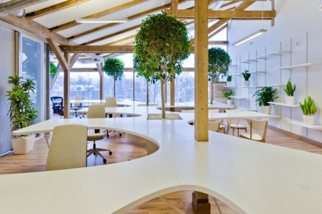 Office Greenhouse