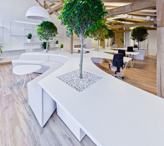 Office Greenhouse - Image 2