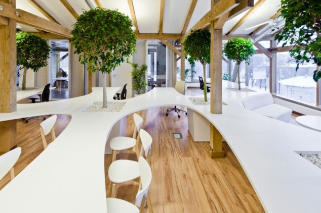 Office Greenhouse - Image 3