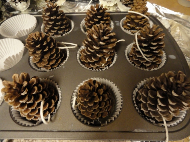 Pine Cone Fire Starters - Image 2