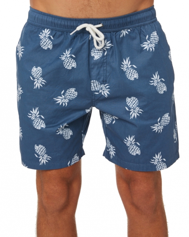 Pineapple Tropics Mens Beachshorts