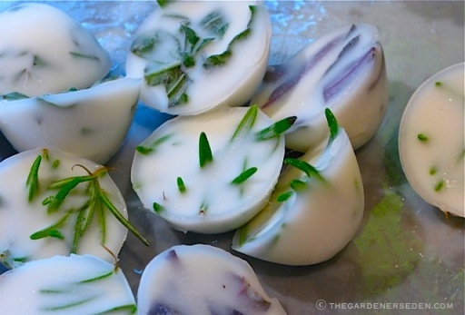 Preserving Herbs