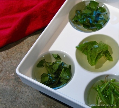 Preserving Herbs - Image 3