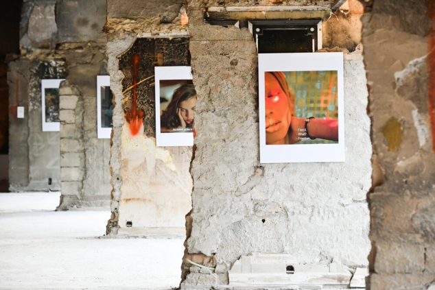 Professional Photography - Image 3
