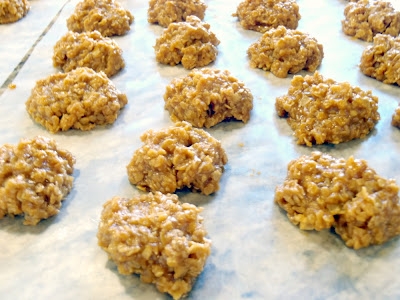 Pumpkin Spiced No-Bake Cookies - Image 2