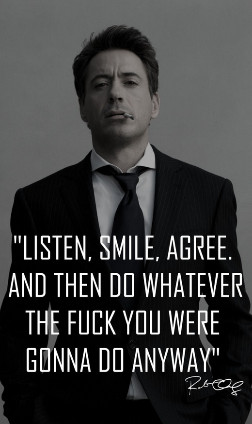 Robert Downey Jr quote