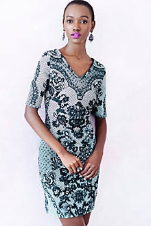 Sketched Lace Dress